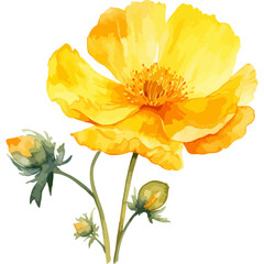 Flower Watercolor element on white background