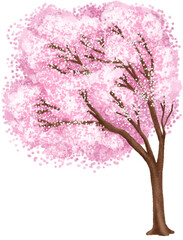 Beautiful cherry blossom tree. Hand drawn illustration isolated on white background