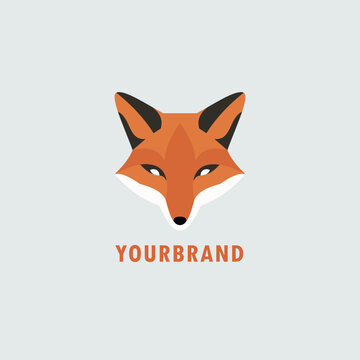 fox logo icon in color minimalist concept design vector business branding