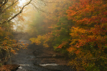 autumn foggy landscape. An ancient stone bridge over a river and yellow trees in the fog.