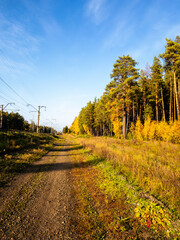 autumn landscape with trees and sky