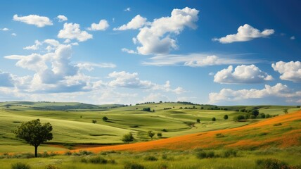 Fototapeta premium Scenic Panorama of Lush Green Fields