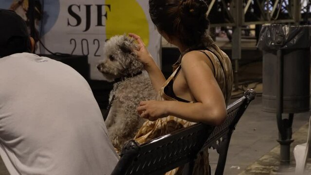 massaggio per un cane, il proprietario massaggia la testa del cane