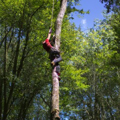 escalando arbol