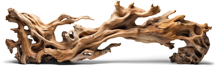 driftwood isolated on transparent background, twisted tree branch - obrazy, fototapety, plakaty