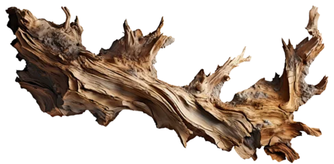 Foto op Canvas driftwood isolated on transparent background, twisted tree branch © Kimo