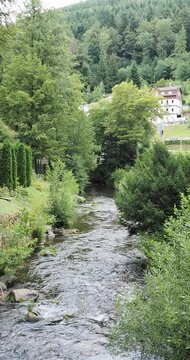 Natur-Kurpark Wildbad im Nordschwarzwald. Am Ufer der schnell flie&szlig;enden Enz, Nebenfluss des Neckars umgeben von Spazierwegen und hohen gr&uuml;nen B&auml;umen
