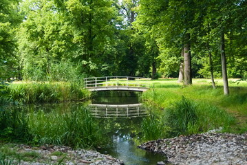 A white bridge over a stream in a park in Germany in the middle of a green environment, reflections in the water - obrazy, fototapety, plakaty