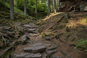 Hiking track at Zemska brana,Pardubice Region,Czech Republic,Europe
