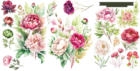 Plexiglas foto achterwand Set of peonies watercolor collection of hand drawn, peonies soft pink and red color, peonies elegant watercolor illustration , peonies isolated transparent background, PNG © HappyTime 17