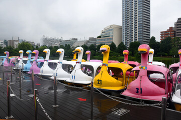 Colourful swan boats at Ueno Park in Tokyo. Cloudy summer day in Japan