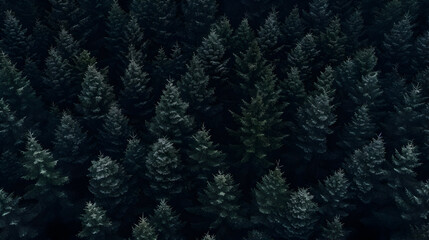 background of trees