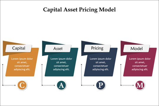 CAPM - Capital asset pricing model. Infographic template with icons and description placeholder