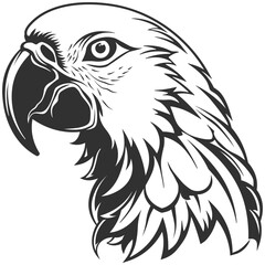 black silhouette of a parrot without background