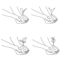 set of hand drawings. plant in hands. Hands  hold up plant line art vector.