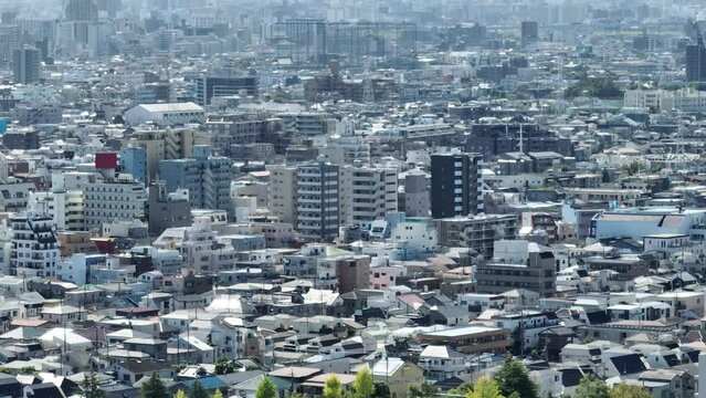 東京近郊の町並み、江戸川上空から。