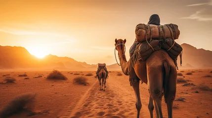 Türaufkleber camel in the desert © faiz