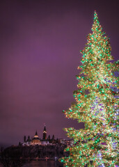 Illuminated festive Christmas tree, Parliament Hill, Ottawa, Gatineau, Canada