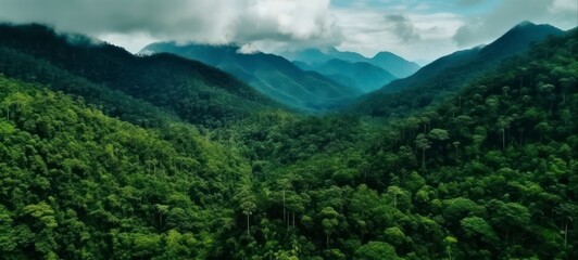 Lush Green Equatorial Forest Against Mountain Horizon Represents the Magnificence of Untouched Nature