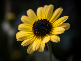 Capturing the Beauty of a Yellow Daisy with a Shallow Depth of Field (Generative AI)