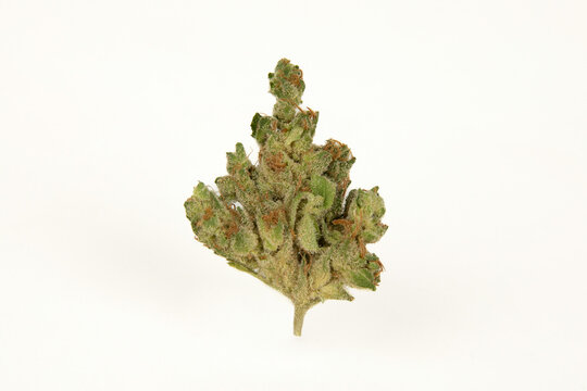 medical marijuana, cannabis flower