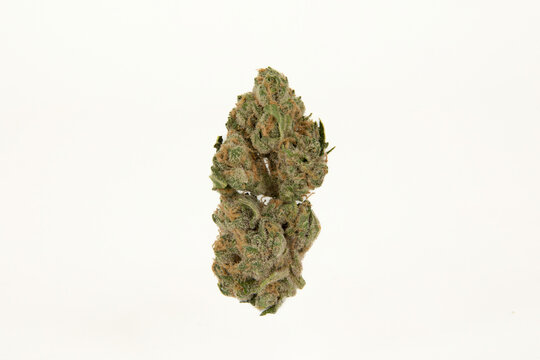 medical marijuana, tropical haze, cannabis flower