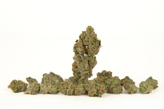 medical marijuana, tropical haze, cannabis flower