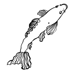 seamless pattern with fishes Gold fish jumping in the water 