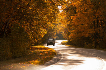 winding rual road with car inside colorful autumn forest