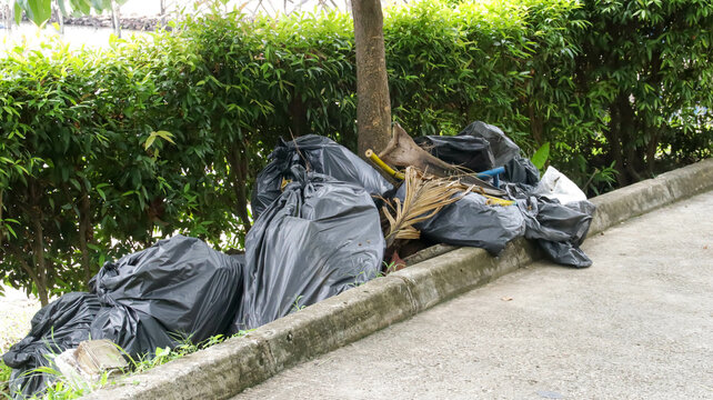 The collected rubbish is placed in the black plastic bag under the tree.