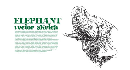 Elephant art drawing, Elephant sketch, Elephant art Gift Photo frame.