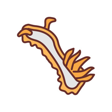 recommend clip art: NudiBranch icon in vector. Illustration