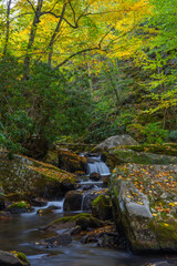 Obraz premium Autumn along the mountain creek