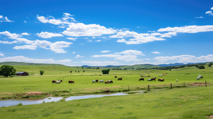 Fototapeta na wymiar free-range cows grazing on a pasture, framed by a blue sky. Eco-Friendly, Organic Farming