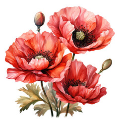 watercolor poppy clipart, generative ai