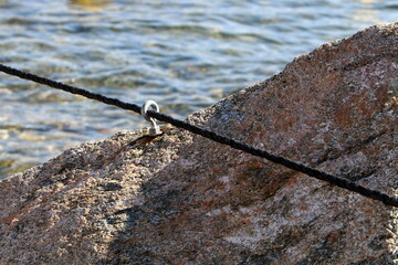 Thick hemp rope on the pier in the seaport.