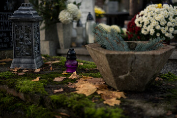 Burned-out grave candle on a moss-covered old grave with dry leaves — remembrance of a lonely,...