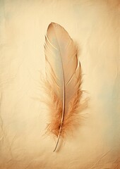 Angel Feather: A single angelic feather laid on pastel-colored vintage paper, symbolizing peace