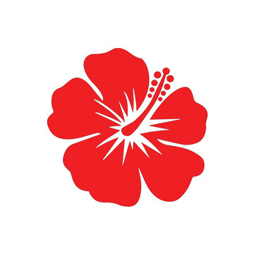 recommend clip art: hibiscus icon on white background. hibiscus flower sign. black Hibiscus flower symbol. flat style.
                    