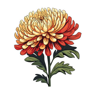 Chrysanthemum clip art preview