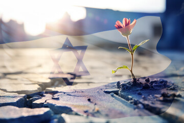 Israel flag on cracked ground with small red flower.  Pray for Israel. - obrazy, fototapety, plakaty
