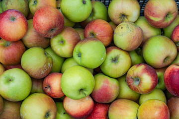 Crate full of ripe apples