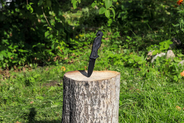 Black folding knife stuck in a log