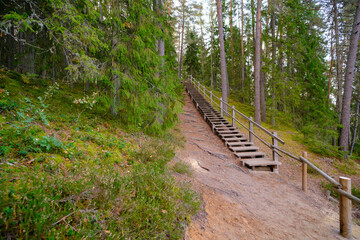 Long wooden stairs in the forest on an autumn day. Tourist hiking route