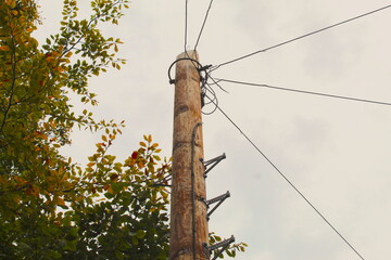A photo of an electric cable post beside Autumn trees against a cloudy sky. 