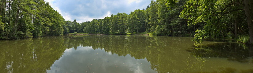 Fototapeta na wymiar Landscape at Jinosovske rybniky at Vlasim ,Czech Republic, Europe 