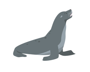 Sea lion or Fur seal animal icon. Northern Sea or ocean water mammal animal. Gray Arctic Sealion. Vector flat or cartoon illustration.