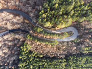 Top-down view of an hairpin bend in the middle of a forest with green and orange trees - 658800238