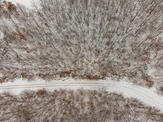 Top view of a winter forest. with a road in the middle of trees - 658800429