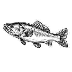 Hand Drawn Sketch Fish Illustration

